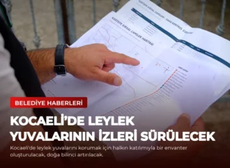 Kocaeli’de Leylek Yuvalarının İzleri Sürülecek