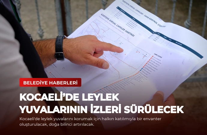 Kocaeli’de Leylek Yuvalarının İzleri Sürülecek