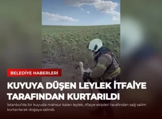 Kuyuya Düşen Leylek İtfaiye Tarafından Kurtarıldı