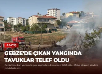 Gebze’de Çıkan Yangında Tavuklar Telef Oldu