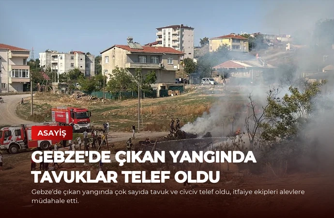 Gebze’de Çıkan Yangında Tavuklar Telef Oldu