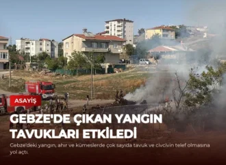 Gebze’de Çıkan Yangın Tavukları Etkiledi