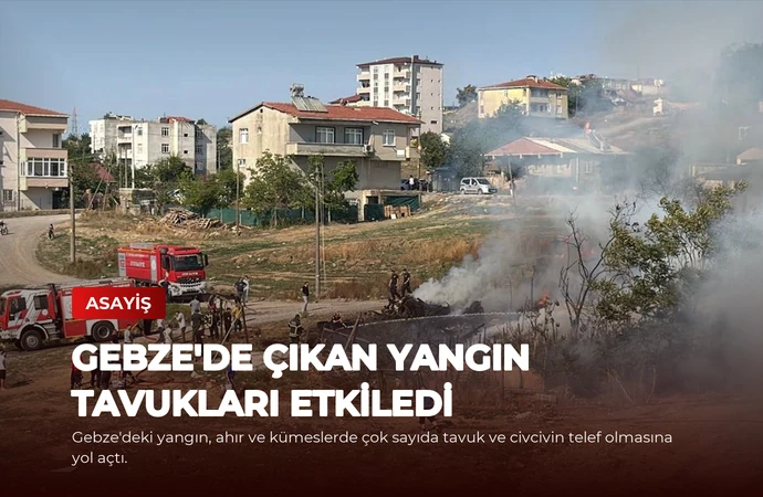 Gebze’de Çıkan Yangın Tavukları Etkiledi