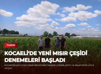 Kocaeli’de Yeni Mısır Çeşidi Denemeleri Başladı