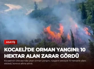 Kocaeli’de Orman Yangını: 10 Hektar Alan Zarar Gördü