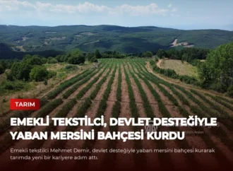 Emekli tekstilci, devlet desteğiyle yaban mersini bahçesi kurdu