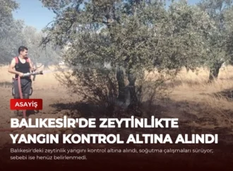 Balıkesir’de Zeytinlikte Yangın Kontrol Altına Alındı