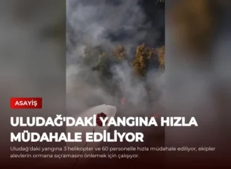 Uludağ’daki Yangına Hızla Müdahale Ediliyor