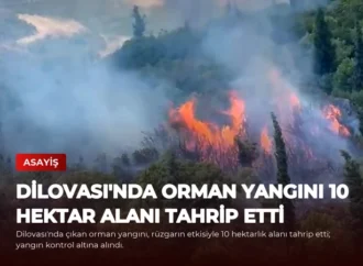 Dilovası’nda Orman Yangını 10 Hektar Alanı Tahrip Etti