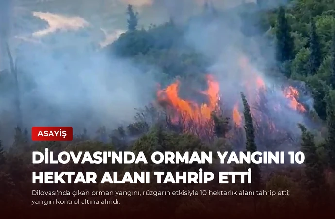 Dilovası’nda Orman Yangını 10 Hektar Alanı Tahrip Etti