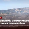 Sındırgı’daki Orman Yangınına Müdahale Devam Ediyor