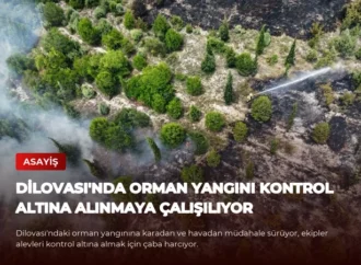 Dilovası’nda Orman Yangını Kontrol Altına Alınmaya Çalışılıyor