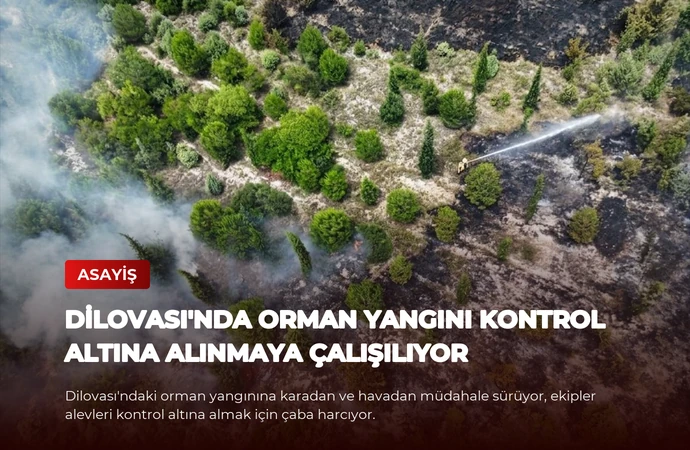 Dilovası’nda Orman Yangını Kontrol Altına Alınmaya Çalışılıyor