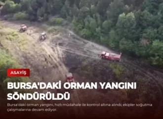 Bursa’daki Orman Yangını Söndürüldü
