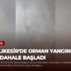 Balıkesir’de Orman Yangınına Müdahale Başladı