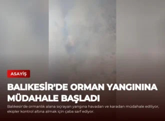 Balıkesir’de Orman Yangınına Müdahale Başladı