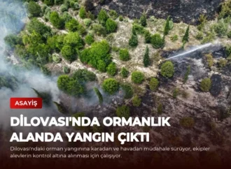 Dilovası’nda Ormanlık Alanda Yangın Çıktı