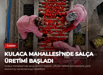 Kulaca Mahallesi’nde Salça Üretimi Başladı