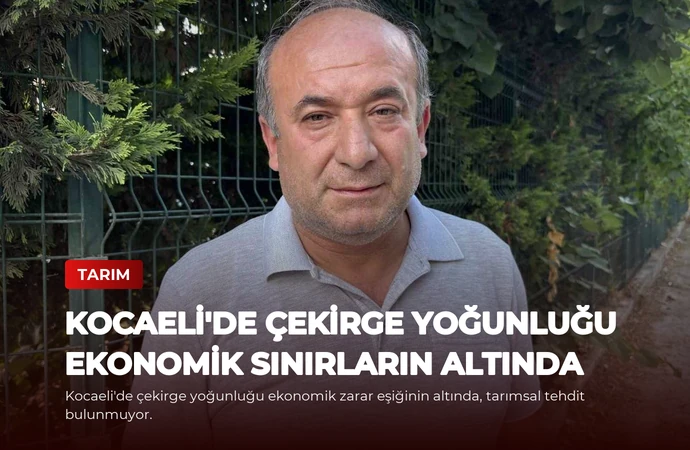 Kocaeli’de Çekirge Yoğunluğu Ekonomik Sınırların Altında