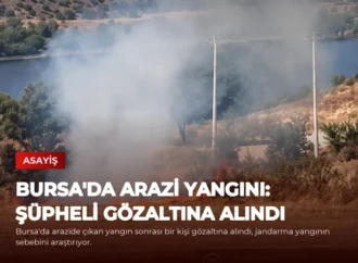 Bursa’da Arazi Yangını: Şüpheli Gözaltına Alındı