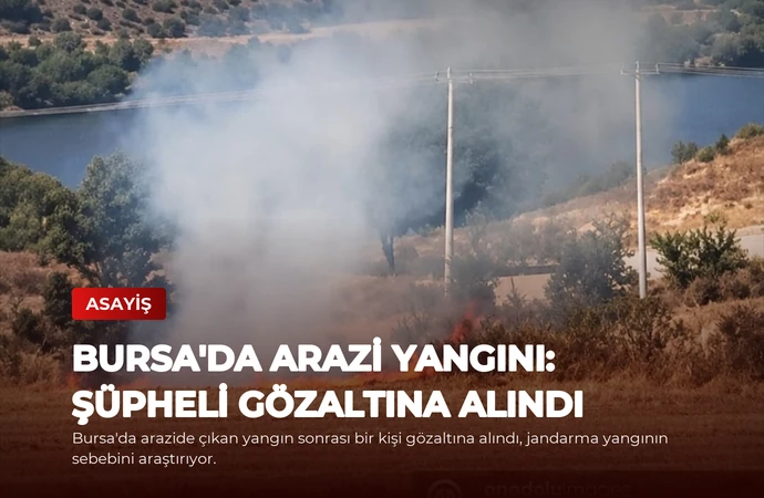 Bursa’da Arazi Yangını: Şüpheli Gözaltına Alındı