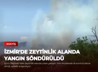 İzmir’de Zeytinlik Alanda Yangın Söndürüldü