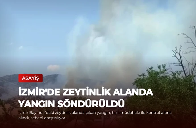İzmir’de Zeytinlik Alanda Yangın Söndürüldü