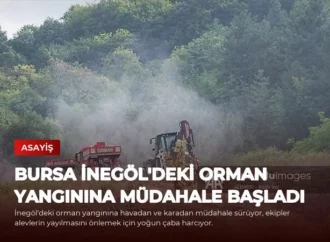 Bursa İnegöl’deki Orman Yangınına Müdahale Başladı