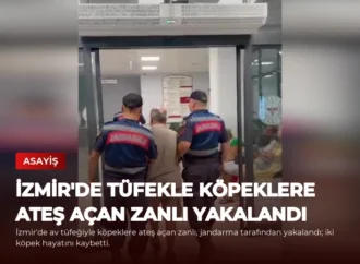 İzmir’de Tüfekle Köpeklere Ateş Açan Zanlı Yakalandı