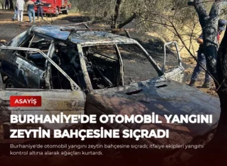 Burhaniye’de Otomobil Yangını Zeytin Bahçesine Sıçradı