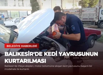 Balıkesir’de Kedi Yavrusunun Kurtarılması