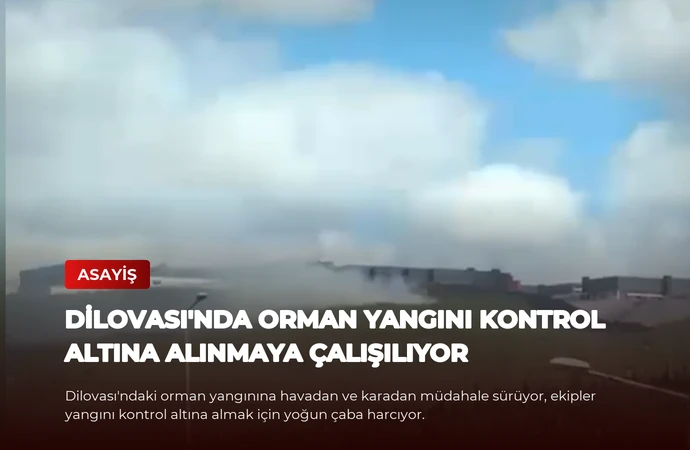 Dilovası’nda Orman Yangını Kontrol Altına Alınmaya Çalışılıyor