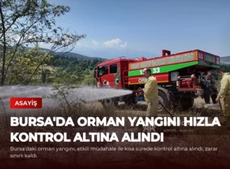 Bursa’da Orman Yangını Hızla Kontrol Altına Alındı