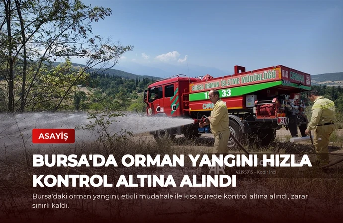 Bursa’da Orman Yangını Hızla Kontrol Altına Alındı