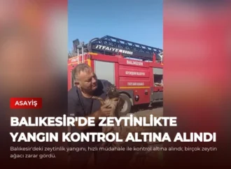 Balıkesir’de Zeytinlikte Yangın Kontrol Altına Alındı