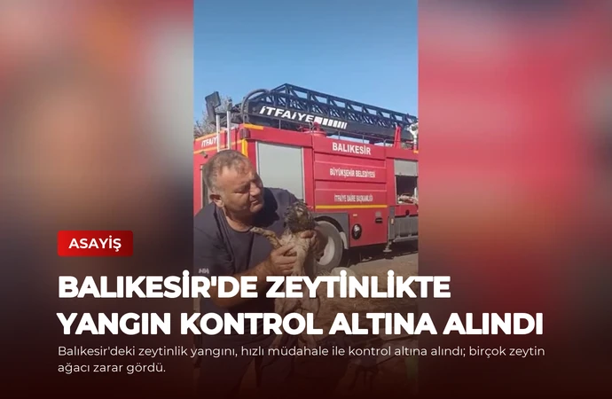 Balıkesir’de Zeytinlikte Yangın Kontrol Altına Alındı