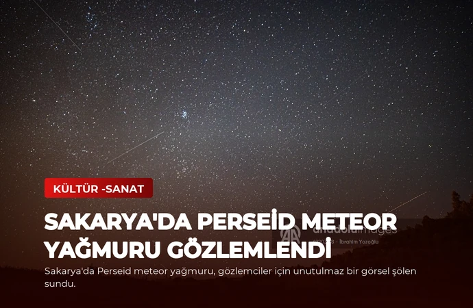 Sakarya’da Perseid Meteor Yağmuru Gözlemlendi