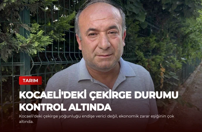 Kocaeli’deki Çekirge Durumu Kontrol Altında