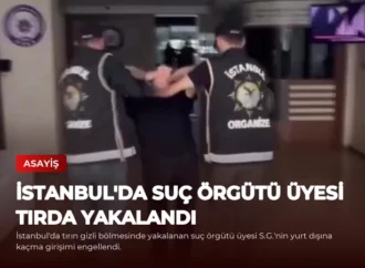 İstanbul’da Suç Örgütü Üyesi Tırda Yakalandı
