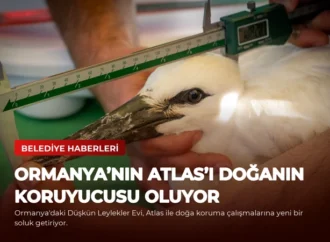 Ormanya’nın Atlas’ı Doğanın Koruyucusu Oluyor