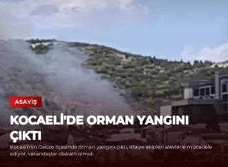 Kocaeli’de Orman Yangını Çıktı