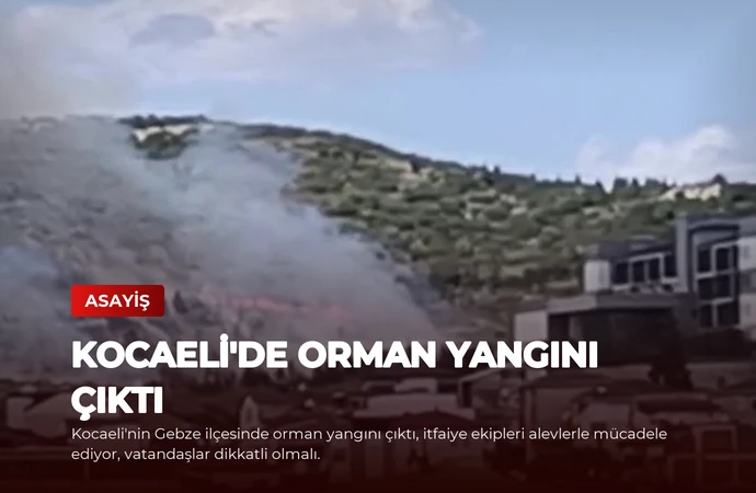 Kocaeli’de Orman Yangını Çıktı