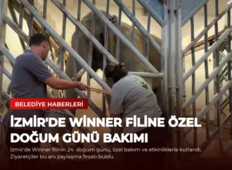 İzmir’de Winner Filine Özel Doğum Günü Bakımı