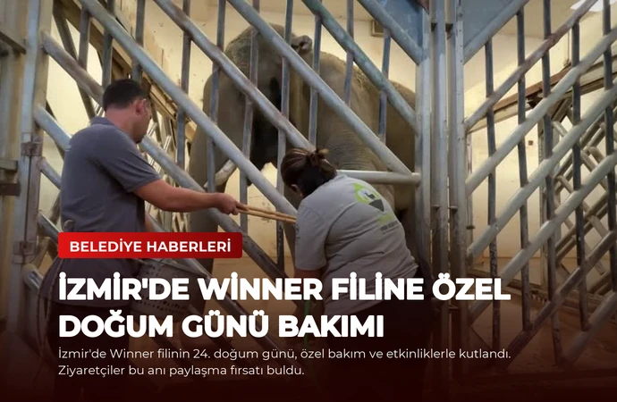 İzmir’de Winner Filine Özel Doğum Günü Bakımı