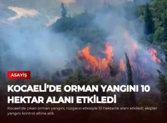 Kocaeli’de Orman Yangını 10 Hektar Alanı Etkiledi
