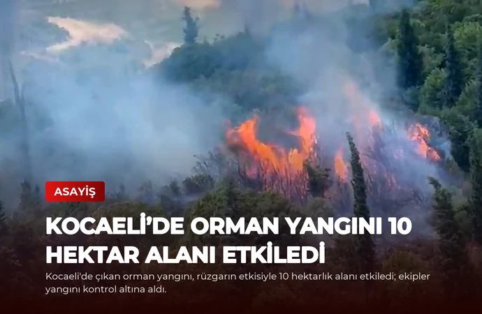 Kocaeli’de Orman Yangını 10 Hektar Alanı Etkiledi