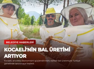 Kocaeli’nin Bal Üretimi Artıyor