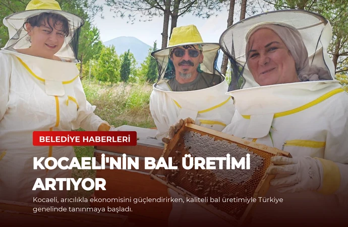 Kocaeli’nin Bal Üretimi Artıyor