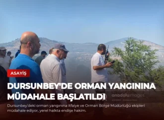 Dursunbey’de Orman Yangınına Müdahale Başlatıldı