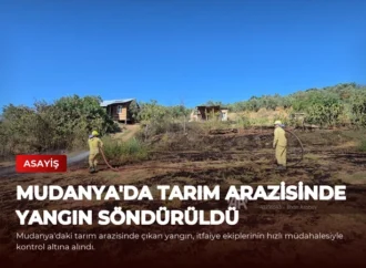 Mudanya’da Tarım Arazisinde Yangın Söndürüldü